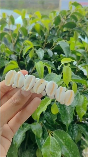 Ocean Vibes In My Hair! 🐚✨ DIY Shell Hair Clip 🌿 #BeachLook #diyhairaccessories #cowrieshell