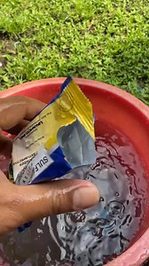 Panay ulan! Build up na bacteria! Backyard Level! #farmvisit #ontario #fall #sunday #morning #sundaygreeting #PUMPKiNPATCHViSiT #fblifestyle #Romantic #farm | Lemz Backyard