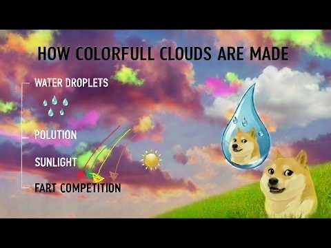 Why does a fart competition matter