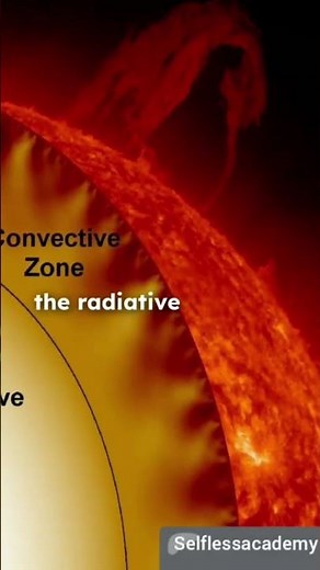Layers of the Sun | Structure from Core to Corona | sun layers | #sun #solarsystem #Selflessacademy
