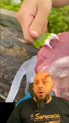Snake bites piece of meat #biologisthenrique #animals #snakes