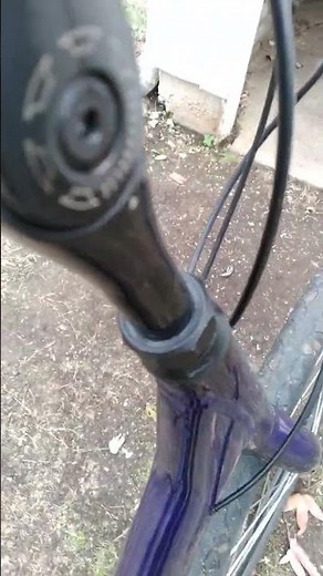 TREK Verve 3
