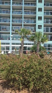 1.3K views · 100 reactions | When are you coming to see us? | Bay View Resort | Facebook