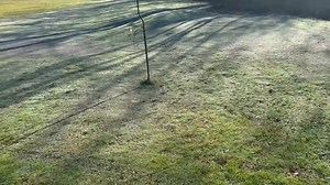 Frost on the grass in Gray, Kentucky, USA