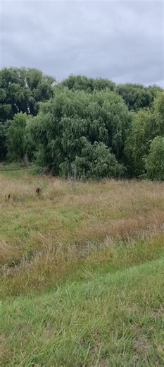 Unexpected Encounter with Runners and Bikers