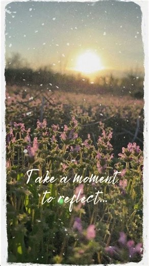 Reflection Prompt: What do you hope the new year holds for you? #writingcommunity #reflection