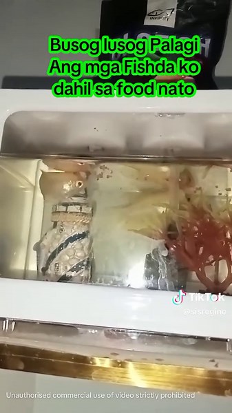 Nourishing Your GloFish with the Right Fish Food