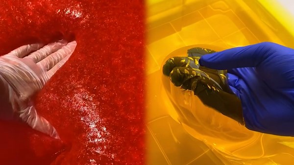 Vibrant Art Meets ASMR for Ultimate Relaxation