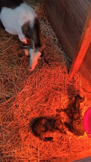 1.3K reactions · 19 shares | Not gonna lie, Wednesday was a rough...