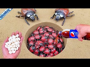 Mentos VS Coca Cola, Sprite, Monster, Fanta, different Toy insect and Mentos in underground