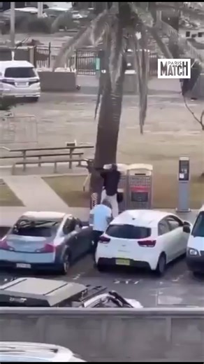 ⚠️⚠️TW : IMAGES CHOQUANTES 🚨Fusillade meurtrière à Sydney Une attaque armée a frappé ce dimanche la plage de Bondi, à Sydney. Selon les autorités australiennes, dix personnes ont perdu la vie, dont l’un des tireurs. Deux suspects ont été interpellés. De nombreuses personnes étaient rassemblées dans le secteur, notamment à l’occasion des célébrations de Hanouka, lorsque les coups de feu ont éclaté. Un passant est parvenu à désarmer l’un des assaillants, évitant un bilan encore plus lourd. Une en