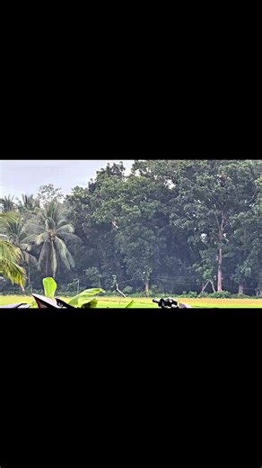 Exploring the Strite Bike Concept