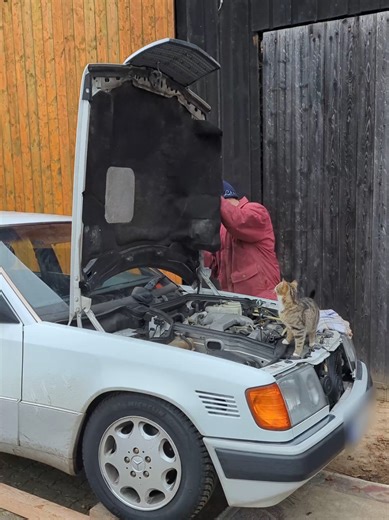 Pro Mechanic Maintenance Tips for Your Mercedes