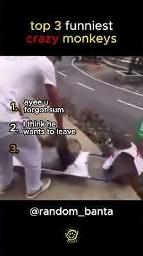 Top 3 Funniest & Craziest Monkeys Caught on Camera 😂🐒 | Hilarious Monkey Moments!