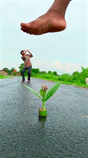 Mind-Blowing Creative Videography 🤯 #shorts #videography #photography