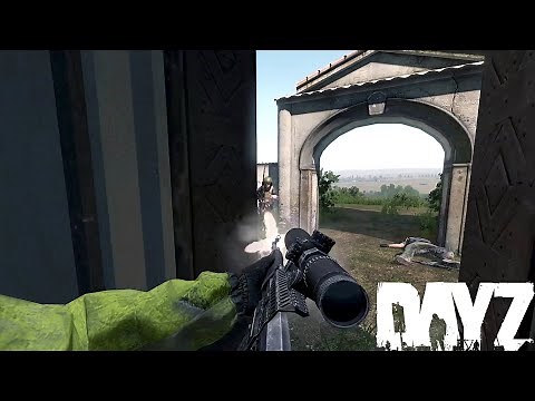 Unique Moments 5 - DayZ