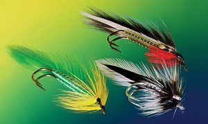 The Mighty Matuka | Fly Tyer