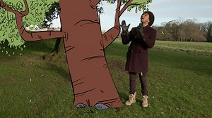 KS1 / KS2 English: Understanding different poetry formats