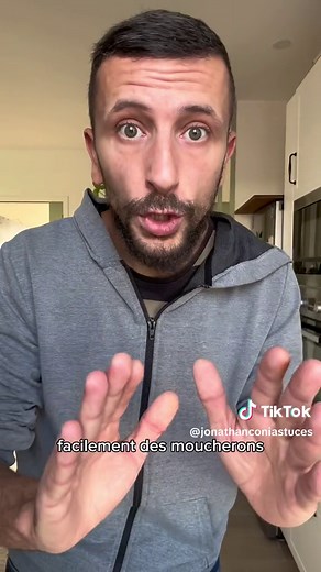 Astuces pour se débarrasser des moucherons dans la maison