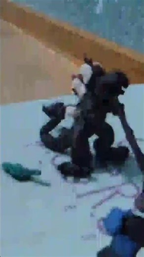 film traler Shin godzilla 2 data 10 January test shorts #godzilla #kaiju