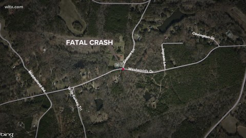 Driver dies after truck runs off road, hits tree in Lexington County early Saturday