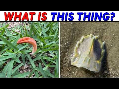 He Thought He Found An Alien Creature... The Reality Is SHOCKING!