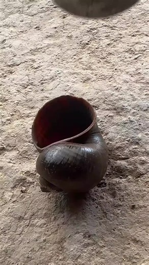 Casting Aluminum at Home: Snail Shell Technique