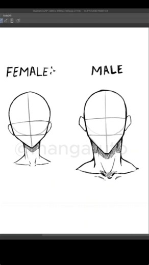 Manga Tuto on Instagram: "How to draw Male & Female head Tutorial ✏️ #art #drawing #illustration #anatomy #drawing #artwork #shorts #sketch #tutorial #manga #sketch #anatomy #clipstudiopaint #procreate #ibispaint"