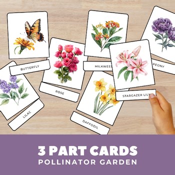 Pollinator Garden 3-Part Cards, Montessori Science Vocabulary, Flowers Butterfly