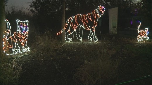 ZooLights returns with $6 tickets
