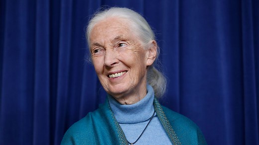National Geographic celebrating Earth Month with documentary about Dr. Jane Goodall