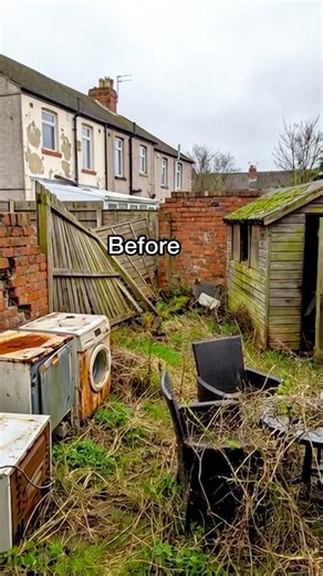 Epic Backyard Garden Transformation