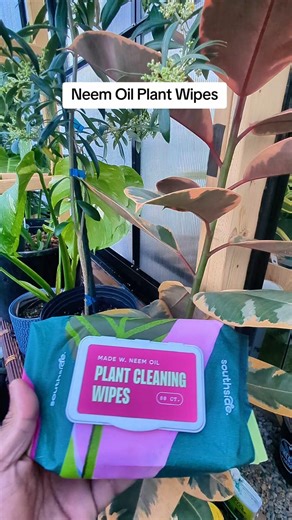 Neem Oil Plant Wipes