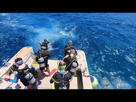 ドリフトダイビング慶良間諸島