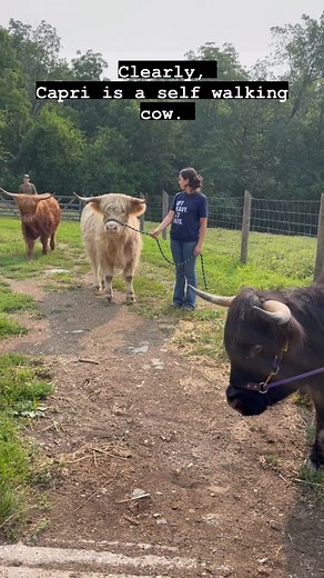 Headed to Bathtime & Capri knew it. | Sheppard Farms