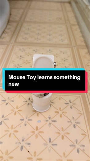 Well, we all saw this coming...Mouse Toy is potty trained now. A few things here: 1. Yes, I'm aware how ridiculous my life is. 2. I now have a mini flushing toilet with happy poop (because of course Mouse Toy poops happy poop) in my bathroom. Add it to the list of weird things you might see in FlounderLand. So the most interesting thing about this is that I never potty trained Flounder to use the people potty. She just told me one day that she wanted to poop in the water, and who am I to deny he