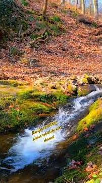 Recitation of halal poems |Islamic pome | #banglapoetry #poetry #shorts