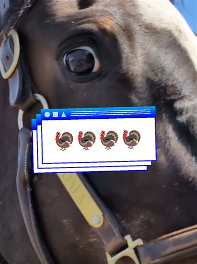 Rhombus🇨🇦 (@rhombusnuug)’s videos with original sound - Rhombus🇨🇦