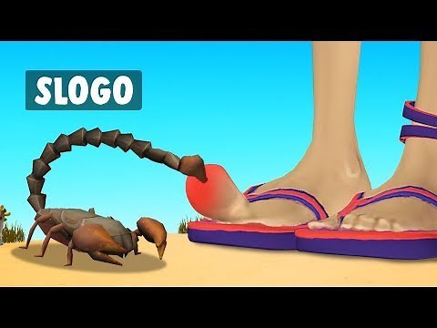 RUN Or Get STUNG! (Slap The Fly)