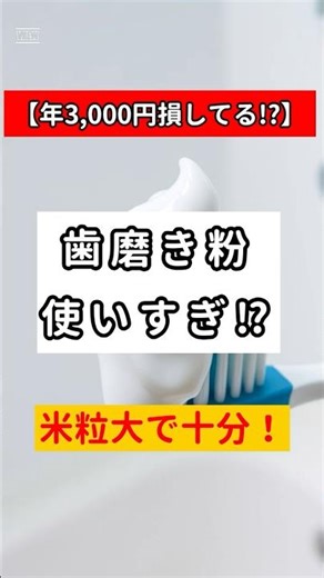 【年3,000円損】歯磨き粉は米粒大で十分｜歯医者推奨の正しい量#歯磨き粉 #節約術 #日用品 #家計管理 #虫歯予防 #節約生活 #shorts