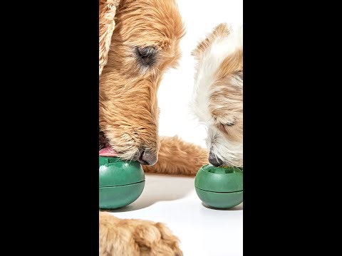 The Pupsicle - A New Breed of Dog Toy 🐶 🍭