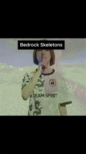 Esqueleto do java vs esqueleto do Bedrock #minecraft #minecraftmeme #minecraftfunny