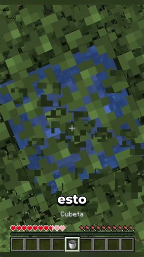 waterdrop sobre arboles en minecraft