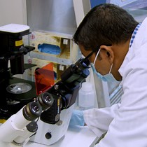 Video: Nuclei Isolation from Fresh Frozen Brain Tumors for Single-Nucleus RNA-seq and ATAC-seq