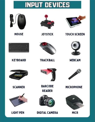 Input Devices - Hardware Devices Computing Device #shorts #inputs #computing