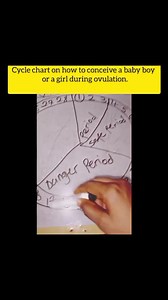 Cycle chart on how to conceive a baby boy or a girl during your ovulation. Part2 | Blessing Abijah