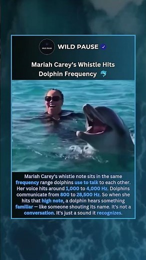Why Dolphins React to Mariah Carey's Voice 🐬🔥 #shorts