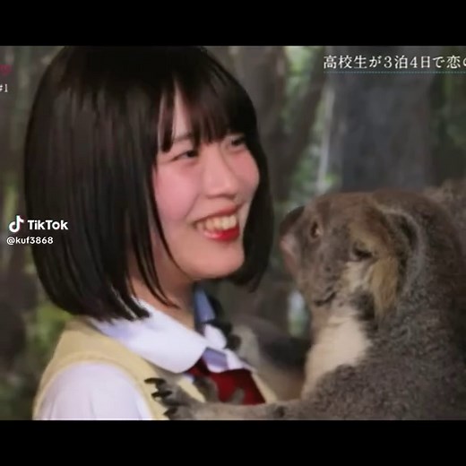 すみれちゃんの魅力を大解剖！