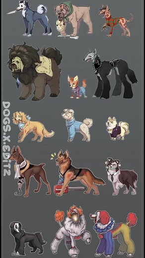 Borzoi Breed Highlights: Unique Features and Care