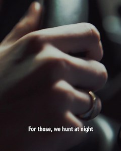 179 reactions | We offer guided tours on land and sea, full holiday packages for solo travellers, groups and families, help with accommodation, airport or tour transfers and a free travel planner service where you can connect to our team and build a full itinerary for your travels. You can also learn everything you need to know about the Northern Lights in our article. Your adventure starts here. | Pukka Travels | Facebook